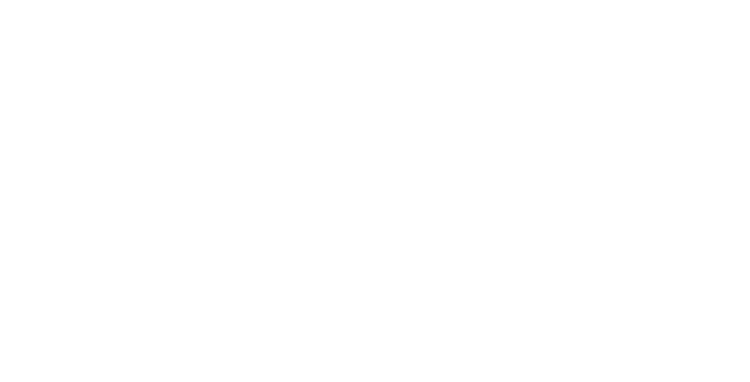 FORGED CARBON